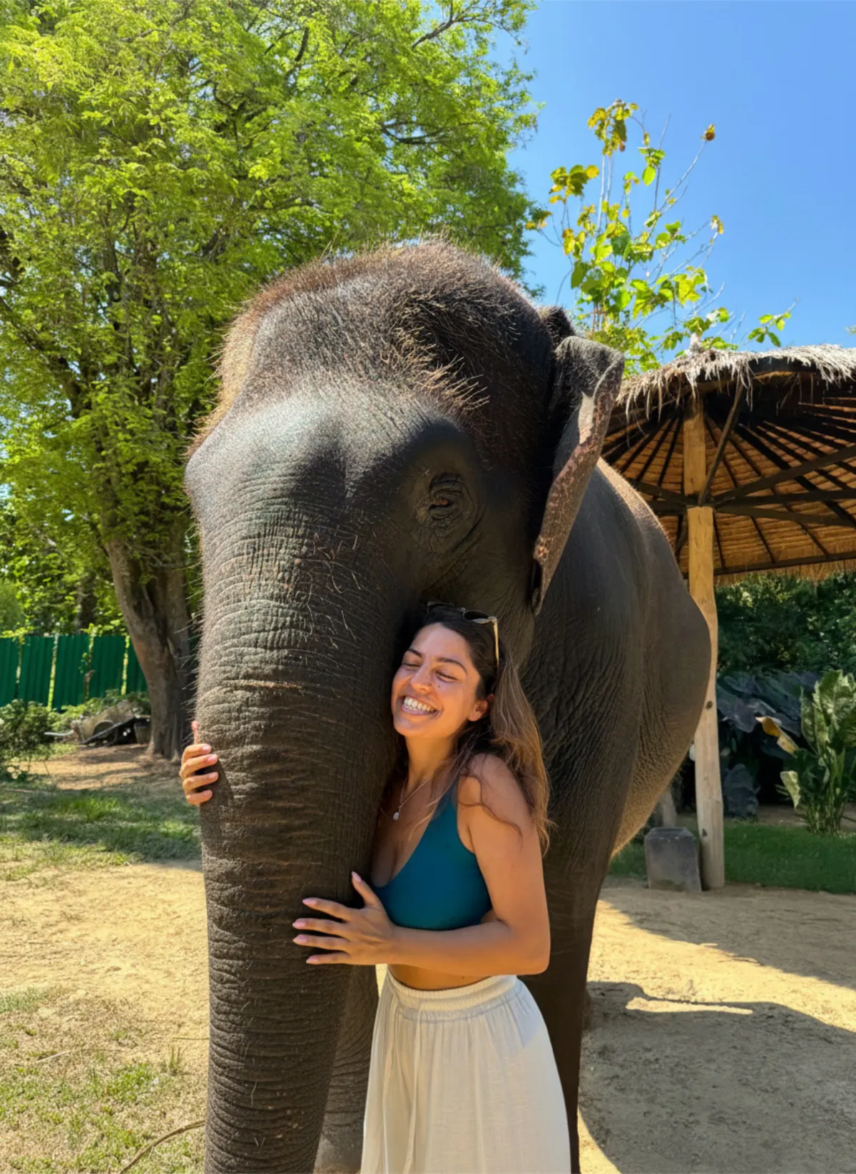Elephant hug